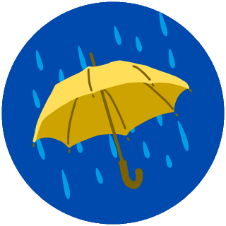 雨